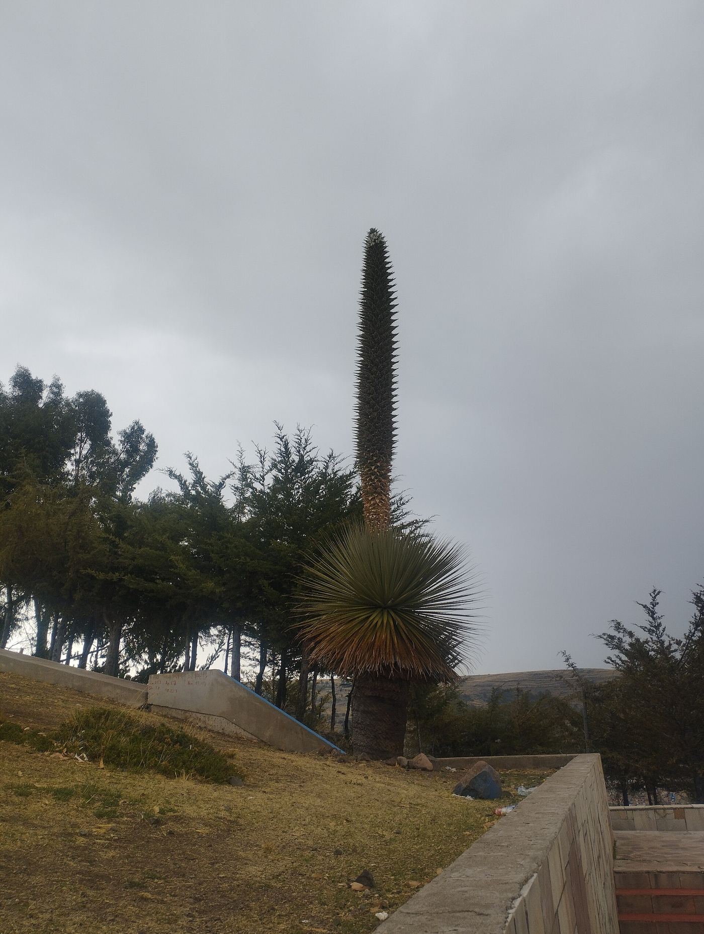 Mirador Kuntur Wasi — photographie